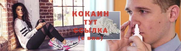 трава Гусь-Хрустальный
