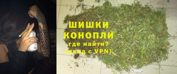 мет Дмитриев