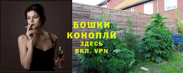трава Гусь-Хрустальный