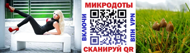 Галлюциногенные грибы мицелий  Купить закладки  Кольчугино 